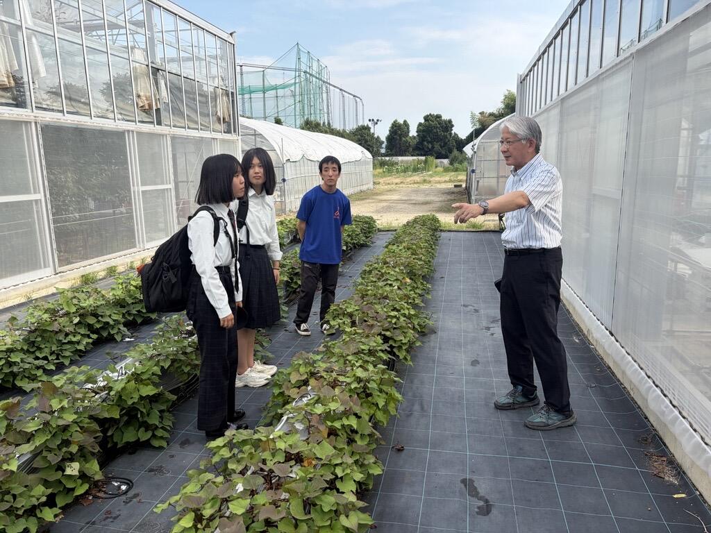 京都府立桂高等学校 | 学科紹介 : 第2研究群